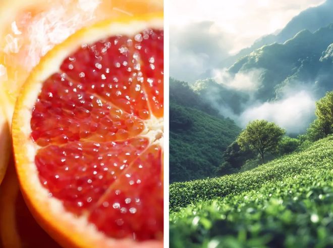 水、身体炸划算还有节日限定香薰、香包AG真人国际游戏香香好物丨欧珑正装香(图6)