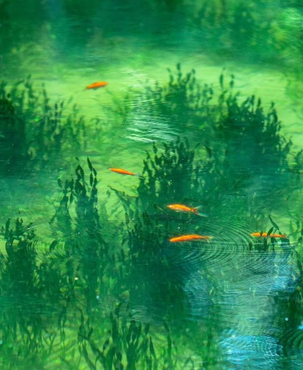 水、身体炸划算还有节日限定香薰、香包AG真人国际游戏香香好物丨欧珑正装香(图19)